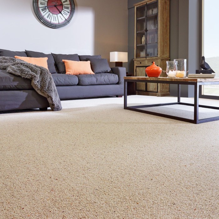 How to decorate an apartment with carpet floors