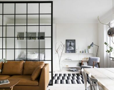 Studio apartment space living maximizing